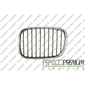 Grille de radiateur avant gauche, chrome E39