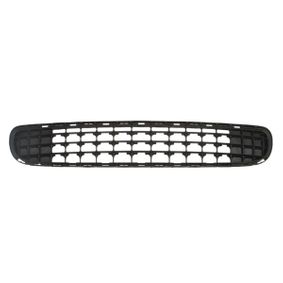 Grille de pare chocs avant centale Mini R60