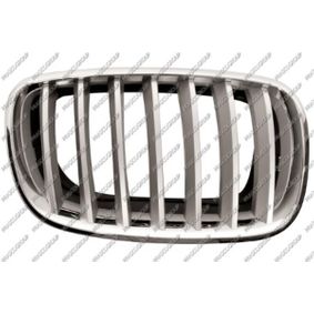 Grille de radiateur droit, titane, chrome BMW X5 (E70)
