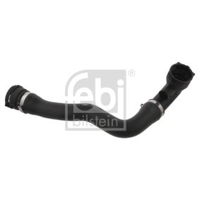 Durite de radiateur avant droite BMW X5 (E53) 